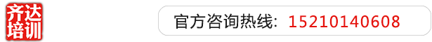 操逼大黄齐达艺考文化课-艺术生文化课,艺术类文化课,艺考生文化课logo